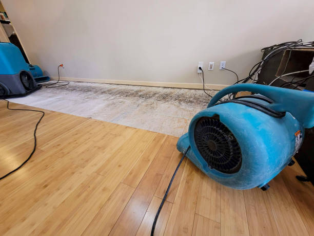 Professional Basement Flood Cleanup technician working in Livonia, MI